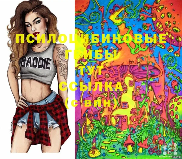 МДПВ Алзамай
