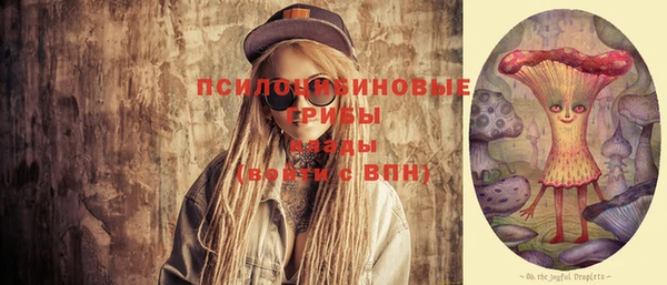МДПВ Алзамай