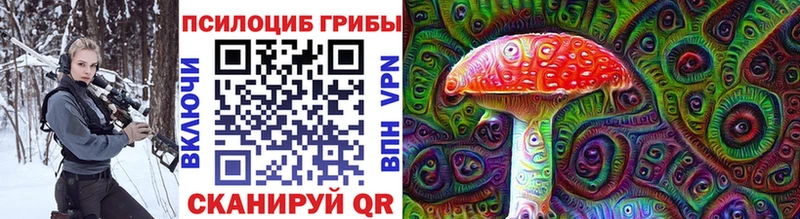 наркотики  Теберда  Галлюциногенные грибы MAGIC MUSHROOMS 